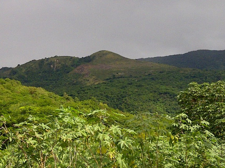 Things I Am Grateful&nbsp;For